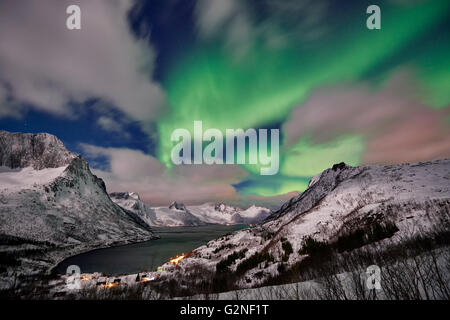 Aurora Borealis oder das Nordlicht über verschneite Winterlandschaft im Fjord von Mefjorden, Senja, Troms, Norwegen, Europa Stockfoto
