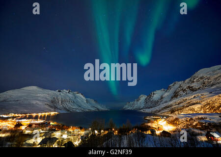 Aurora Borealis oder das Nordlicht über verschneite Winterlandschaft im Fjord Ersfjordbotn, Tromsö, Troms, Norwegen, Europa Stockfoto