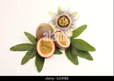 Passionsfrucht und Blume Stockfoto
