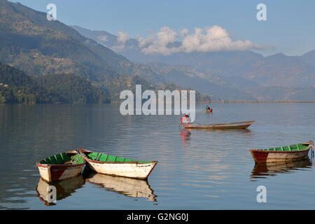 Bunten Ruderboote auf dem Phewa-See, Pokhara, Nepal Stockfoto