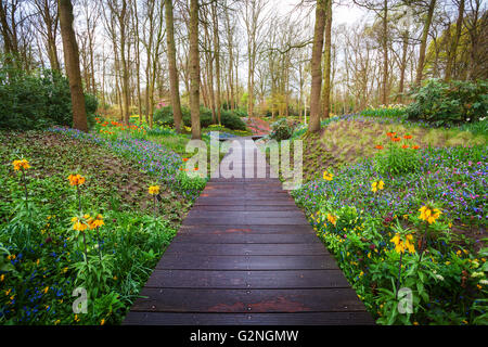 Holzsteg durch den Keukenhof-Park in Niederlande. Landschaft mit blühenden Frühling Garten. Natur-Hintergrund Stockfoto