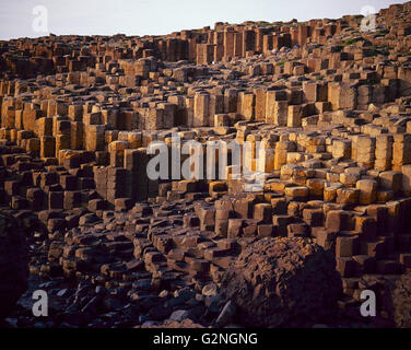 Giant es Causeway, Verriegelung Basaltsäulen infolge Vulkanausbruch, County Antrim, Nordirland Stockfoto