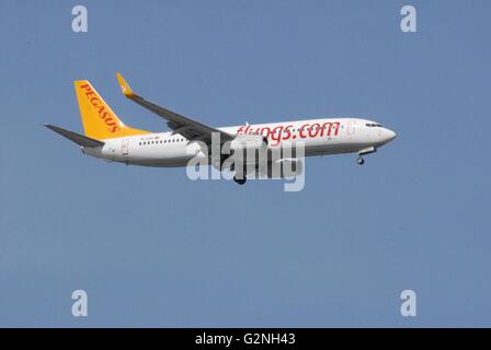 Pegasus Airlines Boeing 737-800 Flugzeuge beim Anflug auf den Flughafen Adnan Menderes Stockfoto