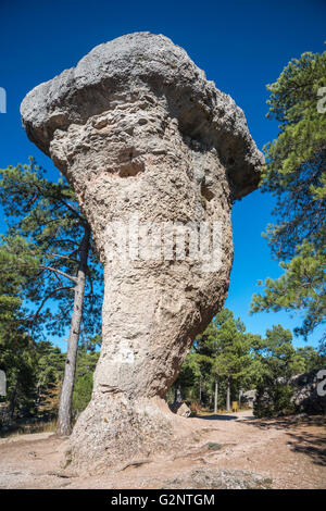 Erodierte Kalksteinfelsen in La Ciudad Encantada, die verzauberte Stadt, Park, Serrania de Cuenca, Castilla-la Mancha, Spanien Stockfoto