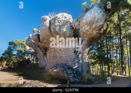 Erodierte Kalksteinfelsen in La Ciudad Encantada, die verzauberte Stadt, Park, Serrania de Cuenca, Castilla-la Mancha, Spanien Stockfoto