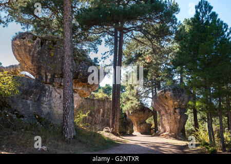 Erodierte Kalksteinfelsen in La Ciudad Encantada, die verzauberte Stadt, Park, Serrania de Cuenca, Castilla-la Mancha, Spanien Stockfoto