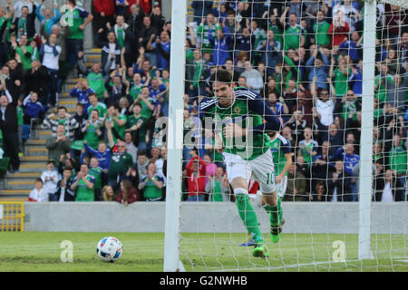 Belfast 27. Mai 2016. Kyle Lafferty (10) feiert sein Tor für Nordirland gegen Weißrussland. Stockfoto