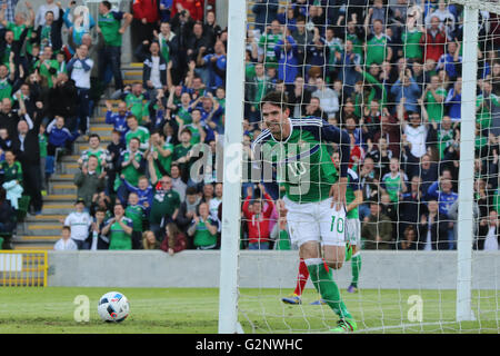 Belfast 27. Mai 2016. Kyle Lafferty (10) feiert sein Tor für Nordirland gegen Weißrussland. Stockfoto