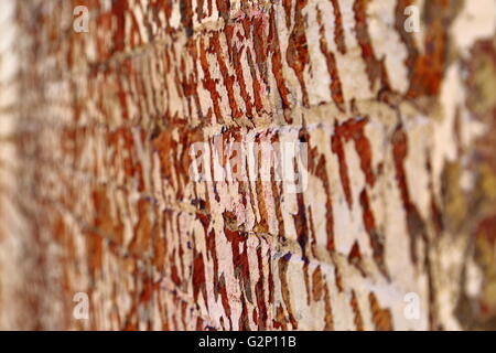 Eine verwitterte Mauer mit abblätternde Farbe, in Battery Point, Hobart, Tasmanien. Stockfoto
