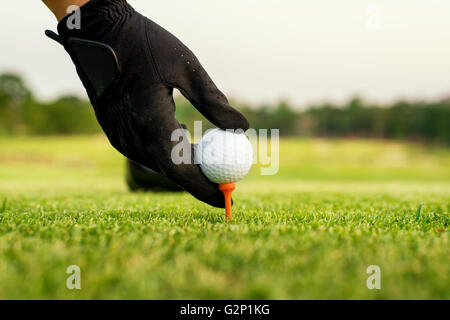 Hand halten Golfball mit Tee auf Kurs, Nahaufnahme Stockfoto