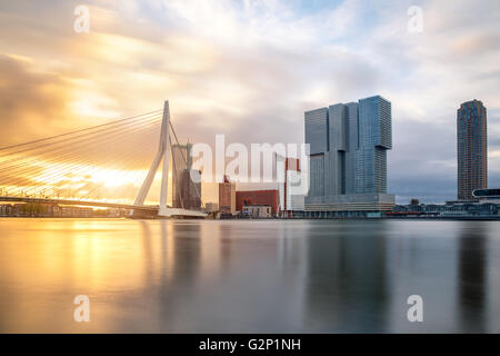 Skyline von Rotterdam mit Erasmusbrücke Brücke Morgen, Niederlande Stockfoto