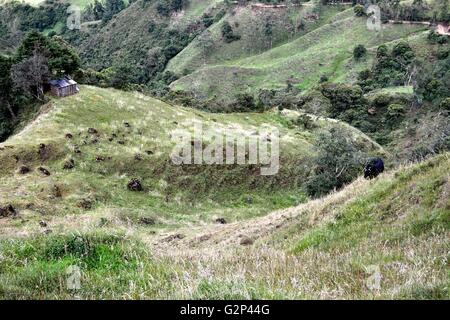 Landschaft in Sapalache "Las Huaringas" - HUANCABAMBA... Abteilung von Piura. Peru Stockfoto