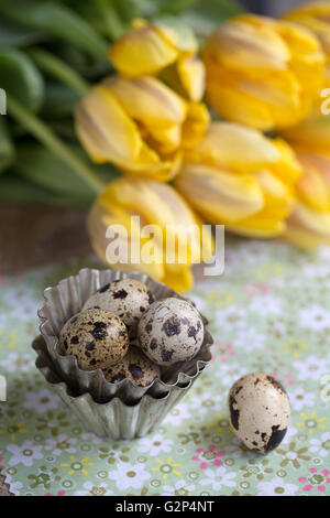 Stillleben Bild mit Wachteleiern und gelbe Tulpen auf Tisch und kleine metallische Form Backen Stockfoto