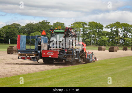 Brouwer RoboMax automatische Roll Sodenschneider Ernte Rasen in Lancashire, UK. Kommerziellen Anbau von Rasen auf Land als eine Rotations-Ernte gemietet. Es gibt immer eine hohe Nachfrage nach Sportrasen in Stadien, Golfplätze und andere Einrichtungen im ganzen Land und der Boom im Haus Neubau schafft eine Forderung, die bedeutet Erhöhung der Anbaufläche in Grünland in diesem Jahr erzielt wurden über. Stockfoto