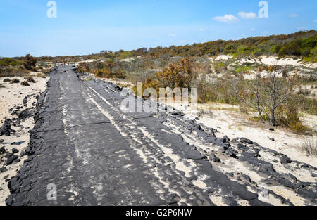 Assateague Island Stockfoto