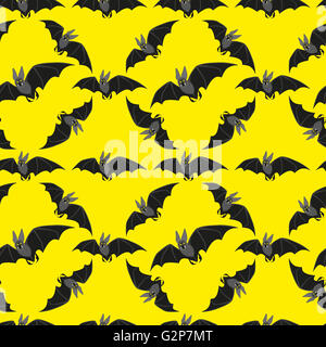 lustige Fledermaus auf schwarzem Hintergrund Stockfoto