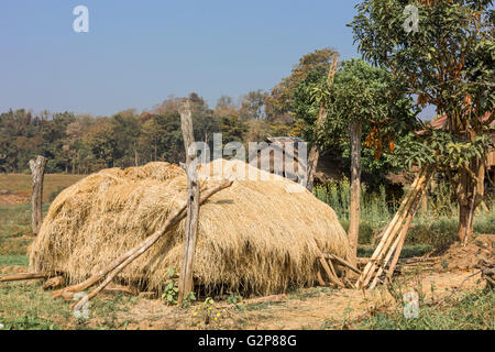 Bauernhof in einem Shan-Dorf. Landschaft des Shan-Staates, Myanmar, Burma, Südasien, Asien Stockfoto