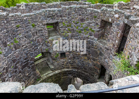 Blick hinunter in die kreisförmige Struktur des Orchardton Tower, in der Nähe von Palnackie, Castle Douglas, Dumfries & Galloway, Schottland Stockfoto