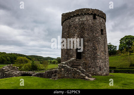 Orchardton Tower, in der Nähe von Palnackie, Dumfries & Galloway, Schottland Stockfoto