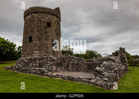 Orchardton Tower, in der Nähe von Palnackie, Dumfries & Galloway, Schottland Stockfoto