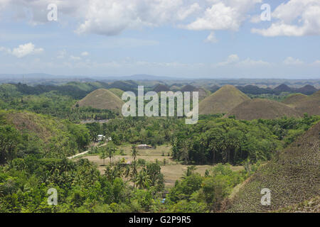 Chocolate Hills auf Bohol, Philippinen Stockfoto