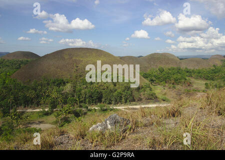 Chocolate Hills auf Bohol, Philippinen Stockfoto