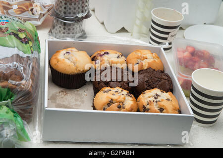 Blueberry Muffin und Choc Chip Muffin in einer box Stockfoto