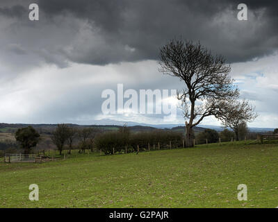 Mit Blick auf die englischen Lake District von Banken-Ost-Turm am Hadrianswall, Cumbria Stockfoto