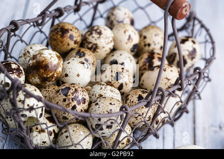 Ein entzückendes Ostermotiv mit einem wunderschön dekorierten pastellfarbenen Ei. Dieses bezaubernde Design fängt den Geist des Frühlings und der Festlichkeit ein Stockfoto