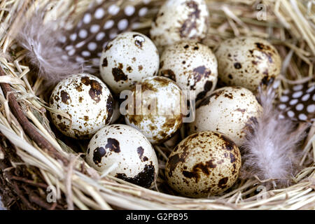 Ein entzückendes Ostermotiv mit einem wunderschön dekorierten pastellfarbenen Ei. Dieses bezaubernde Design fängt den Geist des Frühlings und der Festlichkeit ein Stockfoto