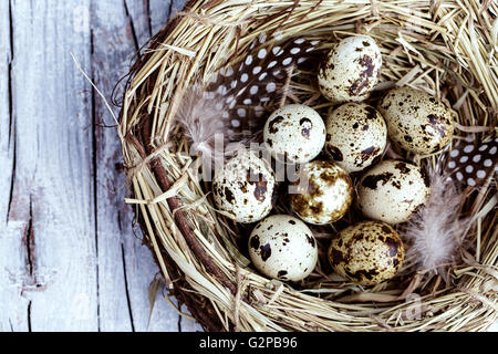 Ein entzückendes Ostermotiv mit einem wunderschön dekorierten pastellfarbenen Ei. Dieses bezaubernde Design fängt den Geist des Frühlings und der Festlichkeit ein Stockfoto