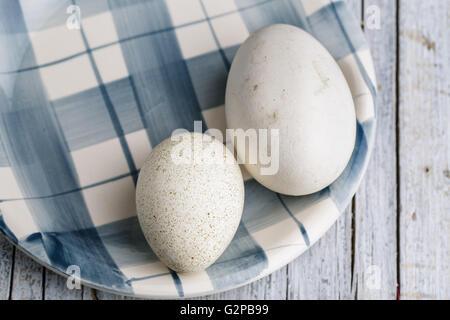 Ein entzückendes Ostermotiv mit einem wunderschön dekorierten pastellfarbenen Ei. Dieses bezaubernde Design fängt den Geist des Frühlings und der Festlichkeit ein Stockfoto