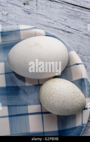 Ein entzückendes Ostermotiv mit einem wunderschön dekorierten pastellfarbenen Ei. Dieses bezaubernde Design fängt den Geist des Frühlings und der Festlichkeit ein Stockfoto