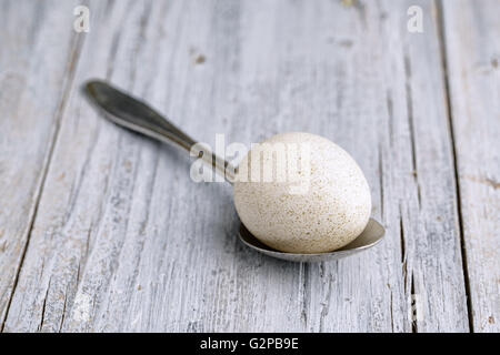 Ein entzückendes Ostermotiv mit einem wunderschön dekorierten pastellfarbenen Ei. Dieses bezaubernde Design fängt den Geist des Frühlings und der Festlichkeit ein Stockfoto