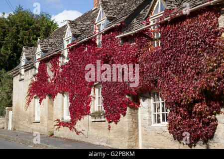 Roter Efeu an Hütte Wand, Coln St Aldwyns, Cotswolds, Gloucestershire, England, Vereinigtes Königreich, Europa Stockfoto