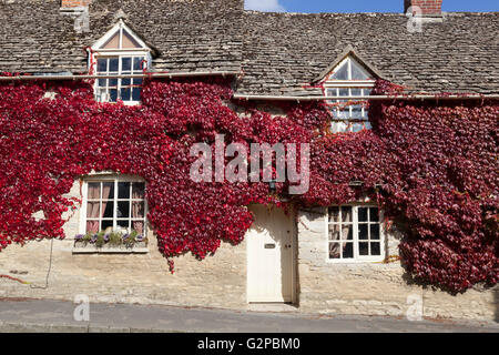 Roter Efeu an Hütte Wand, Coln St Aldwyns, Cotswolds, Gloucestershire, England, Vereinigtes Königreich, Europa Stockfoto