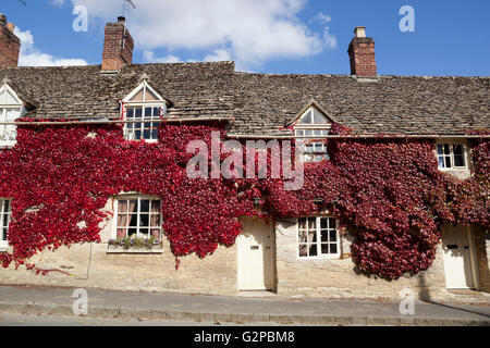 Roter Efeu an Hütte Wand, Coln St Aldwyns, Cotswolds, Gloucestershire, England, Vereinigtes Königreich, Europa Stockfoto