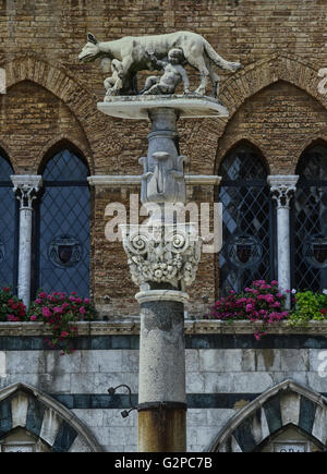 Statue von Wolf Fütterung Romulus und Remus auf der Piazza del Duomo, Siena, Toskana, Italien Stockfoto