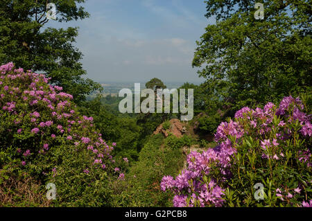 Blick vom Hawkstone Park Follies. Shropshire. England. VEREINIGTES KÖNIGREICH. Europa Stockfoto