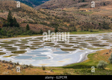 Gefleckte See ist eine Kochsalzlösung abflusslose Laugensee in der Nähe von Osoyoos, BC, Kanada.  Wasser verdunstet im Sommer verlassen Mineralvorkommen. Stockfoto