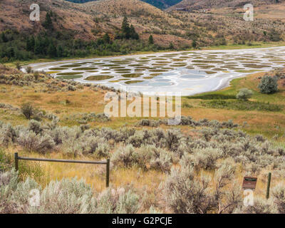 Gefleckte See ist eine Kochsalzlösung abflusslose Laugensee in der Nähe von Osoyoos, BC, Kanada.  Wasser verdunstet im Sommer verlassen Mineralvorkommen. Stockfoto