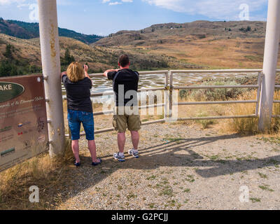 Gefleckte See ist eine Kochsalzlösung abflusslose Laugensee in der Nähe von Osoyoos, BC, Kanada.  Wasser verdunstet im Sommer verlassen Mineralvorkommen. Stockfoto