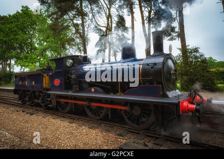 Dampfzug dampfend auf den Gleisen der Nordnorfolkbahn Stockfoto