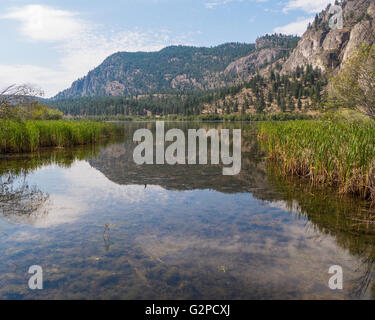 Tierbeobachtungen Bereich am Vaseux Lake Provincial Park, vom Highway 97, zwischen Oliver und Okanagan Falls, BC, Kanada Stockfoto