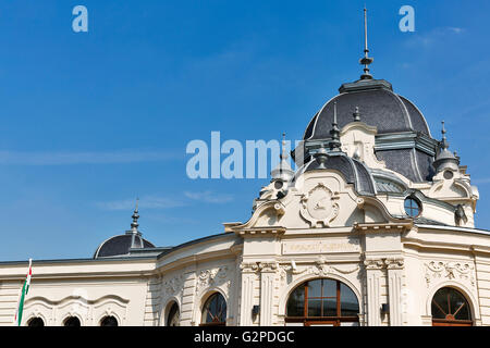 Alte Gebäude-Fassade der Eisbahn City Park und See zum Bootfahren in Budapest, Ungarn. Stadtpark befindet sich Europas größte Outdoor-Eis skati Stockfoto