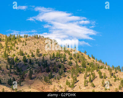 Okanagan Landschaftsansicht, gesehen von Nk'mip Resort and Conference Centre, Osoyoos BC Kanada. Stockfoto