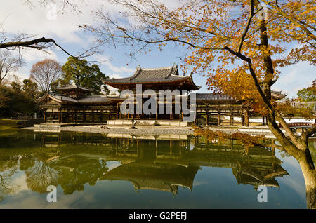 Japan, Kyoto, Uji, Byoodoo im Teich, goldenen rot Herbst Ahorn-Blätter reflektieren. Stockfoto