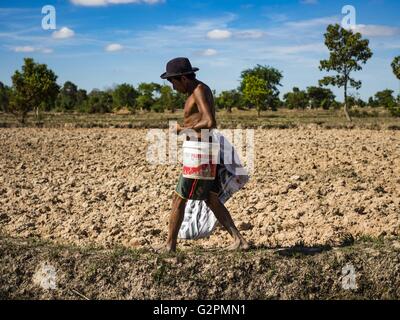 Prasat Bakong, Siem Reap, Kambodscha. 2. Juni 2016. LERN, wer sein ganzes Leben lang Landwirtschaft hat, pflanzt Reis in seinen Feldern in der Nähe von Seam Reap. Kambodscha ist im zweiten Jahr eines Datensatzes erschütternde Dürre, hervorgerufen durch Klimawandel und die El-Niño Wettermuster. Lern sagte das trockenste er seine Felder je gesehen hat. Er sagte, er pflanzt, denn er hat keine andere Wahl, aber wenn sie Regenzeit kommt nicht, oder wenn es letztes Jahr sehr kurzen Regenzeit ist, verliert er seine Ernte. Bildnachweis: Jack Kurtz/ZUMA Draht/Alamy Live-Nachrichten Stockfoto