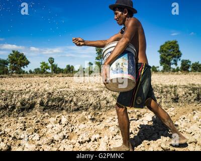 Prasat Bakong, Siem Reap, Kambodscha. 2. Juni 2016. LERN, wer sein ganzes Leben lang Landwirtschaft hat, pflanzt Reis in seinen Feldern in der Nähe von Seam Reap. Kambodscha ist im zweiten Jahr eines Datensatzes erschütternde Dürre, hervorgerufen durch Klimawandel und die El-Niño Wettermuster. Lern sagte das trockenste er seine Felder je gesehen hat. Er sagte, er pflanzt, denn er hat keine andere Wahl, aber wenn sie Regenzeit kommt nicht, oder wenn es letztes Jahr sehr kurzen Regenzeit ist, verliert er seine Ernte. Bildnachweis: Jack Kurtz/ZUMA Draht/Alamy Live-Nachrichten Stockfoto