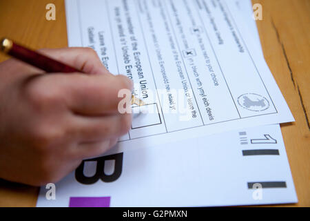 Flintshire, North Wales, UK. 2. Juni 2016. Europäisches Referendum – beginnen europäisches Referendum Post-Ballett Papiere immer verteilt. Eine Person entscheidet die box um das Kreuz in anlässlich ihrer Absicht und Abstimmung Stockfoto